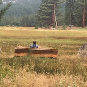 Meet your Posher, Benedicto